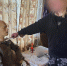 В Степновском округе женщину подозревают в попытке убийства мачехи - Вечерний Ставрополь