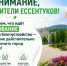 Более 17 000 ессентучан уже приняли участие в голосовании за объекты благоустройства. - Администрация г. Ессентуки