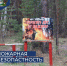 В Кургане продлен запрет на посещение лесов - Администрация г. Курган