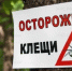 Фото: сайт МЧС России - Газета Майкопские новости