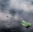 Фото © freepik.com - KaspyInfo.Ru