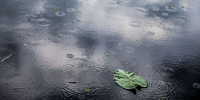 Фото © freepik.com - KaspyInfo.Ru