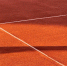 Фото: Montassir allioui/Shutterstock/Fotodom - Ямал-Медиа