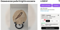 Самарцам продают окаменелую рыбу Knightia eocaena из США - ГТРК Самара