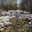 Фото: Минэкологии РТ - ГТРК Татарстан