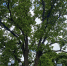 You are viewing the image with filename img_001-2.jpg - Щёлковское Благочиние