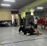 img - ЛДПР