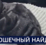 Вести 24 - ГТРК Санкт-Петербург