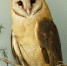 0L4PIGEcer-yNWlSD7BhcWIC0coQd9QxClw8_h8TuOZPrzj8yPEN9xDUCCcarEDDb4IGiDHe_R9D_GnMlFuJ0KAN - ИА Хакасия