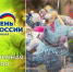 постер. - Город Шарыпово