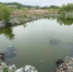 В Находке пятилетняя девочка утонула в водоёме на территории домовладения - Otvprim.Ru