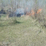 В селе Бурятии школьницы самостоятельно потушили пожар - Газета Номер один