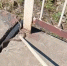 Амурчанин возле моста в Приамурье обнаружил сразу несколько змей видео - Amur.Life