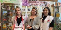«Красная гвоздика» продолжает объединять неравнодушных ракитянцев. - Ракитянский район
