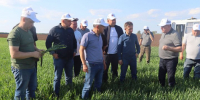 Экзаменует поле - Газета Тетюшские зори