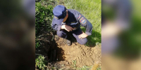 Два боеприпаса времен ВОВ уничтожили под Воронежем - Обозреватель.Врн
