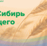 Чулымский район примет областной Агрофорум для подготовки молодых кадров АПК - Куйбышевский район
