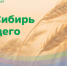 Жителей Купинского района приглашают на областной Агрофорум «АгроСибирь будущего»! - Купинский район