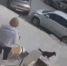 Бойцовская собака держит в страже жителей многоэтажки во Владивостоке - ГТРК Владивосток