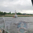 Спасатели пришли на помощь пассажирам катера, севшим на мель на реке Волхов - ЛенТВ24