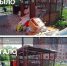 В Петрозаводске начали избавляться от свалок около контейнеров - Gubdaily.Ru