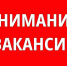 О вакансиях в Администрации Половинского округа. - Половинский муниципальный округ