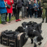 Кинологи-пограничники - ИА Nord-News.Ru
