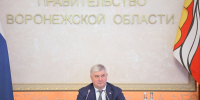 Губернатор призвал воронежцев поучаствовать в предварительном голосовании - МОЁ! Online