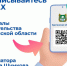 Актуальные новости и полезную информацию жители Курганской области могут узнать в каналах органов власти в национальном мессенджере МАКС. - Белозерский муниципальный округ