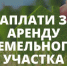 «Напоминание об оплате аренды». Напоминаем о необходимости оплаты аренды земельных участков.. - Администрация г. Новоалтайск