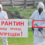 Карантин по бешенству ввели в селе в Лысковском округе - НИА Нижний Новгород