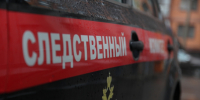 В Узловой будут судить пьяного водителя, по вине которого погибла пятимесячная девочка - ИА Тульская пресса.Ru