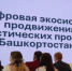 В рамках Недели предпринимательства в Уфе состоялся круглый стол «Цифровая экосистема продвижения туристических продуктов Башкортостана» - Комитет по предпринимательству