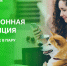 Как оплачивать услуги ЖКХ по электронной квитанции без комиссии - О чём Говорит Смоленск