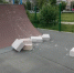 ЛОМАТЬ — НЕ СТРОИТЬ! - Ясненский городской округ
