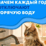 "БашРТС" рассказывает почему каждое лето отключают горячую воду - Администрации г. о. Сибай