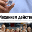 Проект «Механизм Действия. Программа развития потенциала личности обучающихся Курской области» Курского государственного университета признан победителем Всероссийского конкурса молодежных проектов среди образовательных организаций высшего образования в 2. - Kursk.Com