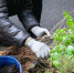 cherinfo.ru - Cher-Poisk.Ru
