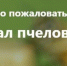 Информация для пчеловодов - Озерский городской округ