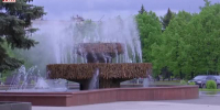 Видео - ТВН