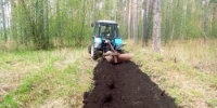 В Башкортостане продолжается обновление и создание минерализованных полос - Министерство лесного хозяйства