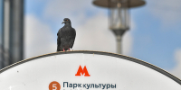 Станцию «Парк культуры» Кольцевой линии закроют для входа по будням в часы пик - Вечерняя Москва