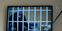 Йошкаролинца осудили за нападение с ножом в нижегородском автобусе - НИА Нижний Новгород