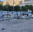 img - ЛДПР