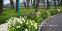 На пляже «Берега» в Белгороде откроют замкнутый прогулочный маршрут около 5 км - БелПресса