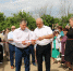 В селе Вольное торжественно открыли парк с аллеей славы героям-землякам, погибшим в зоне СВО - Администрация Харабалинского района
