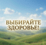 Что вы выберете прямо сейчас? - Народное слово