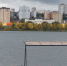 Вода у липецких пляжей пригодна для купания - Gorod48.ru