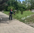 В Пролетарске продолжаются работы по благоустройству города - Пролетарский район
