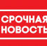 Вниманию шахматистов, оздоравливающихся в лагере «Кипарис» - Федерация шахмат